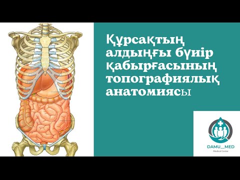 Бейне: Грейдің анатомиясына кім оралды?