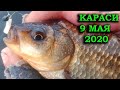 МОРМЫШИНГ.  КАРАСИ 9 МАЯ 2020