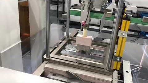 Paper Hang Tags Automatic Stripping Machine