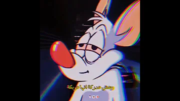 Ze2bac Dama 