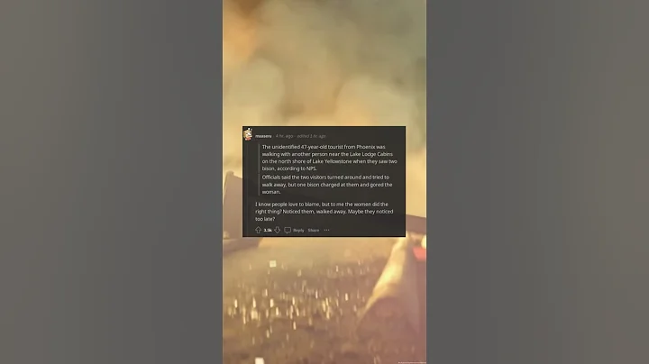 Woman gored by Bison at Yellowstone