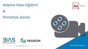 Adams View Eğitimi & Primitive Joint