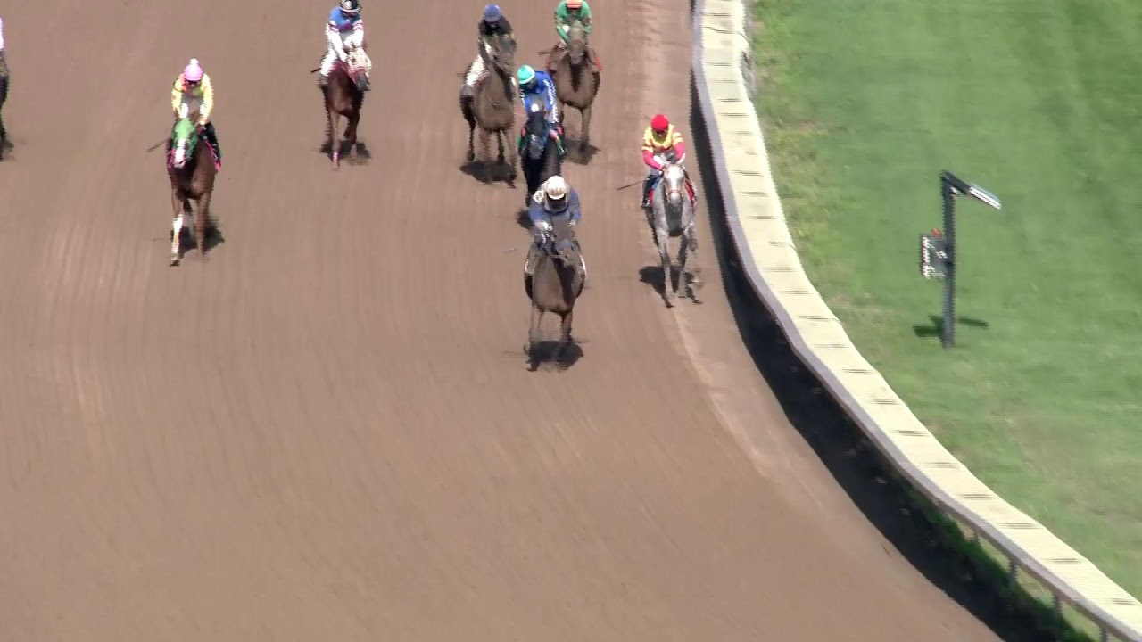 8 21 2024 finger lakes racetrack up to 10 second delay youtube