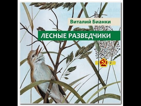 Лесные разведчики. Бианки В.В. Аудиорассказ