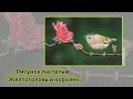 Рисунок пастелью "Желтоголовый королёк" / Pastel speed drawing bird "Goldcrest"