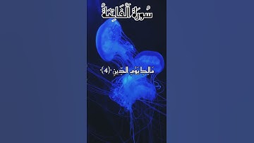 سورة الفاتحة 🤍بصوت عمير شميم #القرآن_الكريم#اكسبلور#المغرب #لايك #الجزائر#السعودية#راحة_نفسية #duet