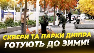 Дніпровські парки та сквери готують до зими!