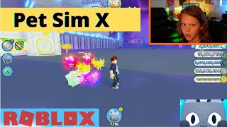 Pet Simulator X ROBLOX by Me and E-man 331 views 2 years ago 23 minutes