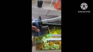 #DIY | how to make external filter for planted aquarium #nature  #aquariumfilter