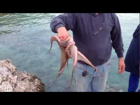 Video: Peshkimi Në Prill - Pajisje Për Të Dalë Në Akull