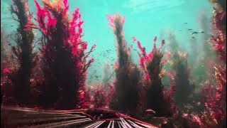 UNITY - Tomorrowland part 1@ The Sphere (Insomniac   Tomorrowland)