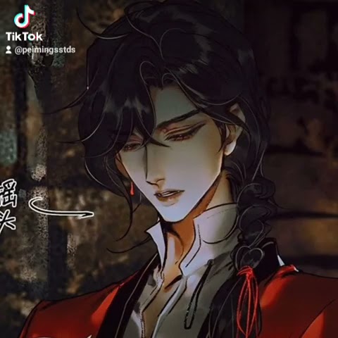 WHAT😳 #xielian #hualian #tgcf #heavenofficialsblessing #huacheng #manhua