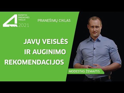 Video: Kaip Pradėti Papildomą Maistą Iš Javų