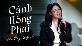 Cánh Hồng Phai - Chu Thúy Quỳnh | Live at Vừng Ơi Mở Ra