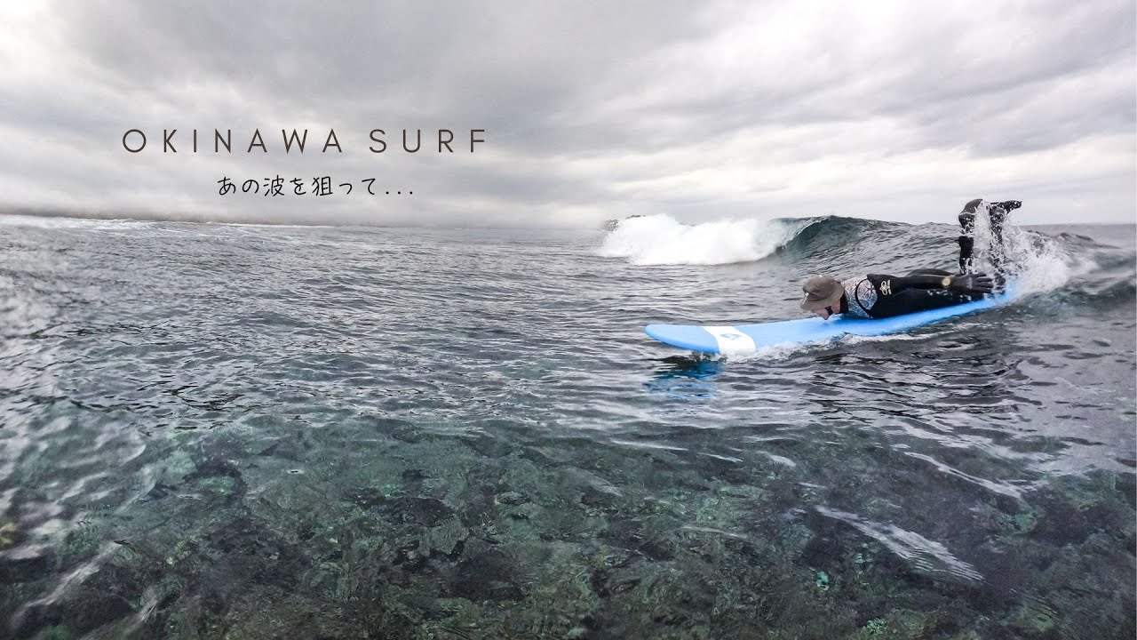 波乗りシュナウザー シーグラスアート　南の島でサーフィン犬　夏のインテリアに 波乗りシュナウザー シーグラスアート 南の島でサーフィン犬 夏の