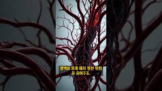 물 한 잔의 비밀. #중년건강 #물한잔의비밀 #아침습관 #몸공부