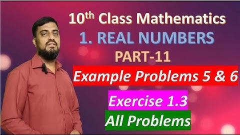 Class 10 Maths | Chapter 1 | Real Numbers | Part 11 | Examples 5 & 6 | Exercise 1.3 all Problems