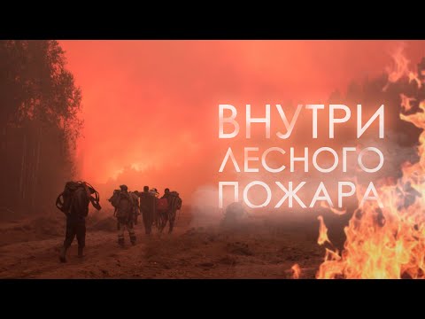 Внутри лесного пожара от первого лица // Ивановская область - Южский район 27.08.2022