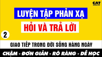 Luyện Tập Phản Xạ – Hỏi và Trả Lời | Giao Tiếp Tiếng Anh Cơ Bản - 2