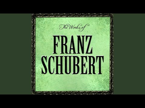 Sonata For Piano No. 16 In A Minor, D.845: II. Andante, Poco Mosso
