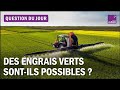 Agriculture : le coût environnemental de l&#39;engrais