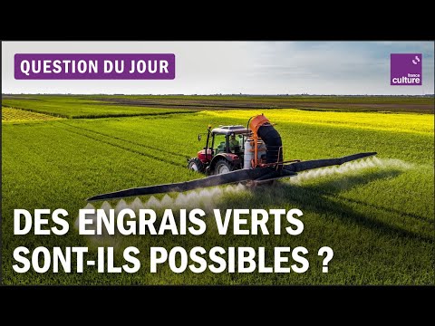 Agriculture : le coût environnemental de l'engrais