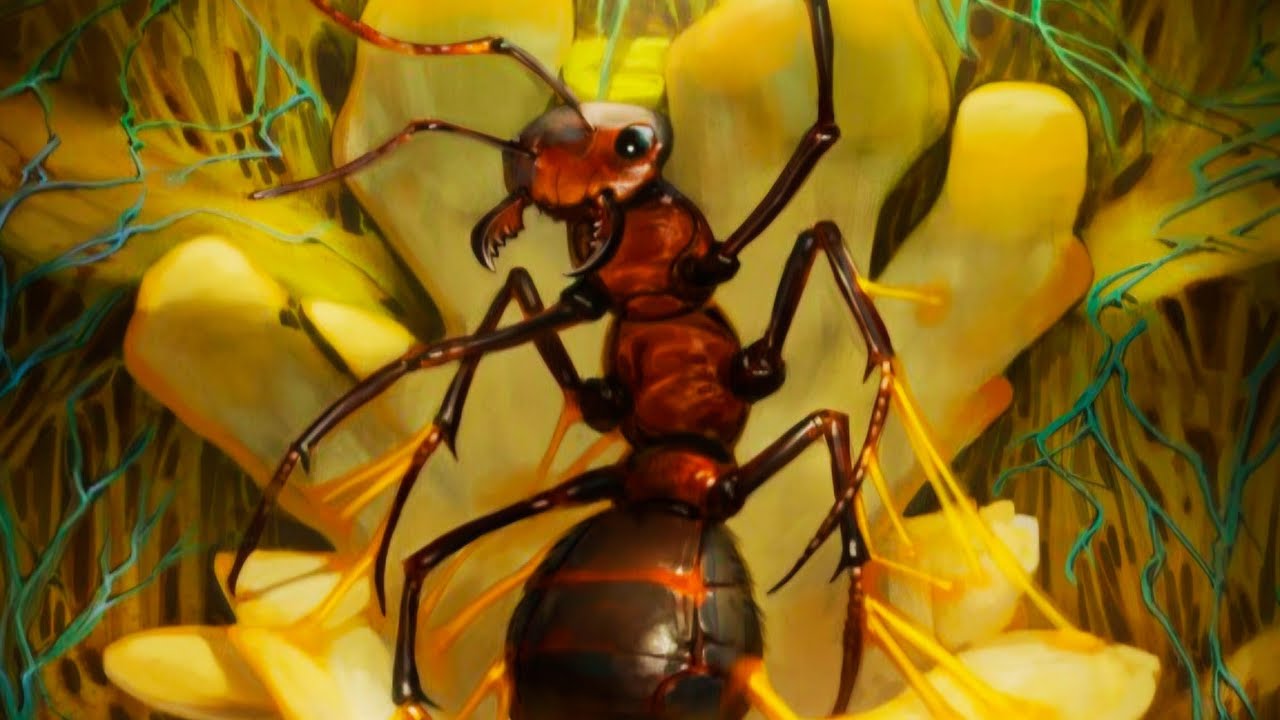 I WAS REBORN AS AN EVOLVING ANT chapter 41-60 - YouTube