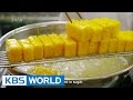 2014 KBS Food Odyssey | 2014 KBS 요리인류 - Ep.1