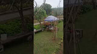 Iki Boloon Official Terciduk Sedang Vcsvideo Call