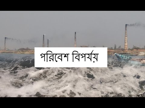 ভিডিও: রাশিয়ায় পরিবেশগত বিপর্যয়। পরিবেশগত বিপর্যয়: উদাহরণ