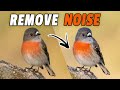 NOISE SIMPLIFIED, WHAT CAUSES IT, HOW TO REMOVE IT!