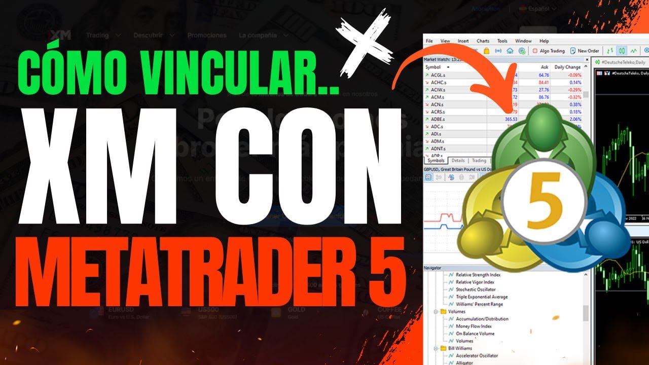 Xm Qr Code Cómo VINCULAR CUENTA de XM Broker con MetaTrader 5 - YouTube