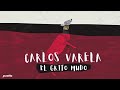 Carlos Varela - El Grito Mudo