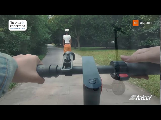 Patinete Eléctrico Scooter Windtech 25km/h Con Suspensión Y Luz