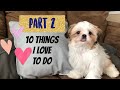 10 Things Shih Tzu puppy loves to do | Part 2