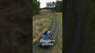 Эх Нива Нива, в лес вези красиво! #shorts #нива #легенда #клип #песня #природа #2121 #lada