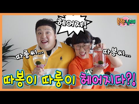 <strong>마리모</strong> 따봉이 따룽이 헤어지다???!!!ㅋㅋㅋㅋㅋ