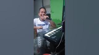 Mungkinkah stynki | cover Budi Manurung