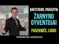 Žarnyno bakterijos, parazitai, žarnyno ligos, higiena | Eimantas Venckus - Gyvenimo Ratas