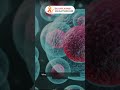 How HPV Causes Cervical Cancer | Know the Connection 🎗️#oncology #cervicalcancer