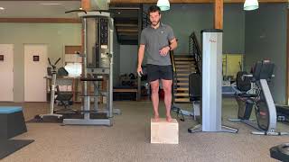 Dragon Squat Progressions