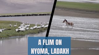 A Documentary Flim on Nyoma,Ladakh