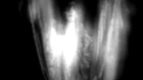 Gazelle Twin - I Am Shell I Am Bone (official video)