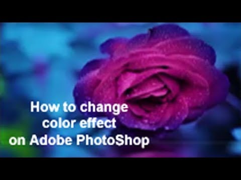 How to change color effect of any photo in Adobe PhotoShop