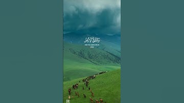 #قرآن #istagfar #quran #yasseraldossary #تلاوة_خاشعة #اكسبلور #قران_كريم #لايك #راحة_نفسية #اذكار