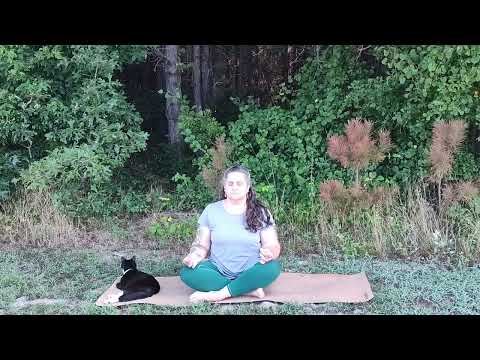 8 minute meditation with nature sounds