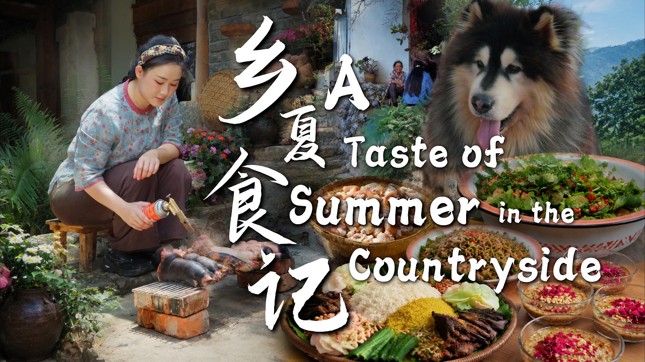 Essential Cool Summer Snacks You Need This Season【Dianxi Xiaoge】