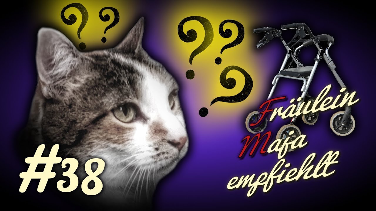 Demenz - Alte Katzen - How to Pflege betagter Katzen Teil 2 - Fräulein Maja empfiehlt Teil 38