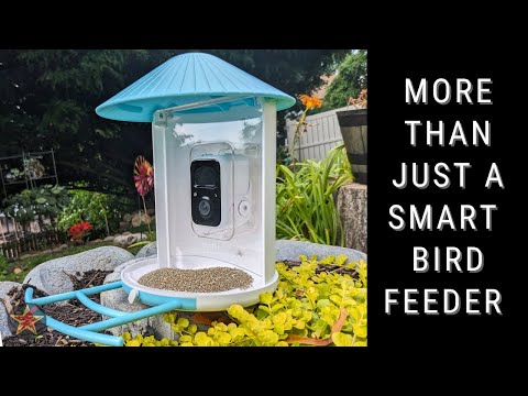 Video: Hummingbird Feeder na Iniiwasan ang Iba Pang mga Ibon