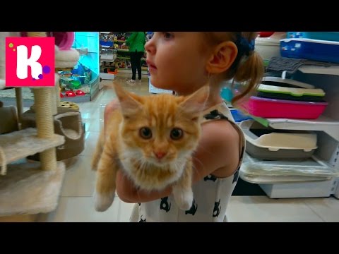 Катя и Макс делают грюминг для Мурки